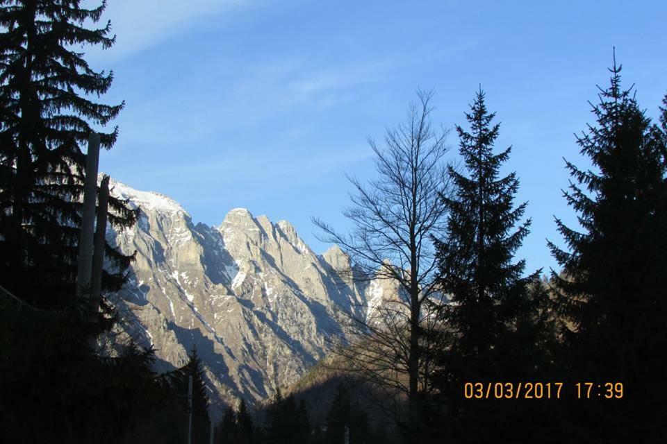 Отель Valbona Eco Camping Экстерьер фото